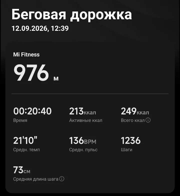 Скриншот тренировки из приложения смарт-часов: беговая дорожка, 976 метров, время 00:20:40, 213 активных килокалорий, средний пульс 136